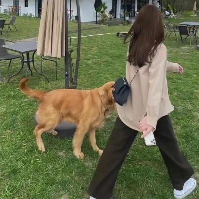 林中绮谭